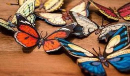 蝴蝶效应3在线观看,时空裂痕，命运轮回