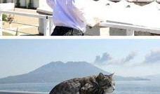 娱乐吃瓜小猫咪微博,揭秘娱乐圈幕后故事