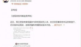 mhy最新爆料,揭秘游戏世界背后的神秘故事