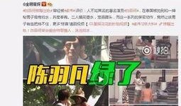 欧耶被爆料出轨后续视频,后续视频揭露惊人真相